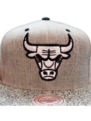 Chicago Bulls Elephant Mitchell & Ness Cap