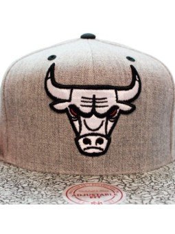 Chicago Bulls Elephant Mitchell & Ness Cap