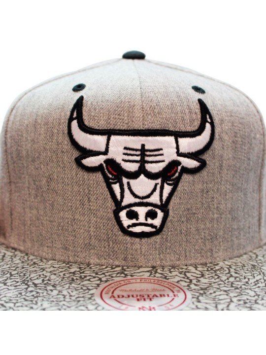 Chicago Bulls Elephant Mitchell & Ness Cap