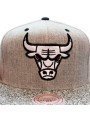 Chicago Bulls Elephant Mitchell & Ness Cap