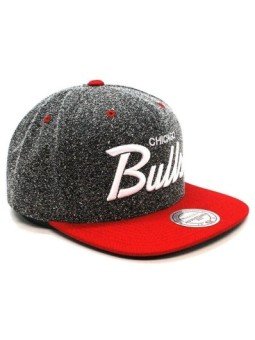 Mitchell & Ness Cap Static VI17Z Chicago Bulls
