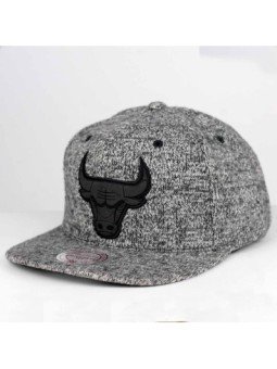 Gorra Chicago Bulls EASE INTL086 Mitchell and Ness snapback gris