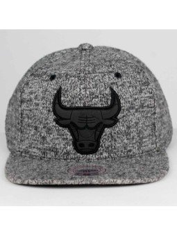 Gorra Chicago Bulls EASE INTL086 Mitchell and Ness snapback gris