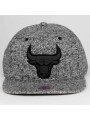 Gorra Chicago Bulls EASE INTL086 Mitchell and Ness snapback gris