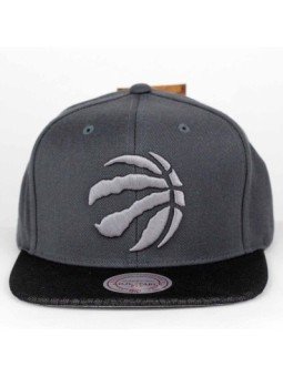 Toronto RAPTORS NBA Hologram Mesh Mitchell & Ness Cap | Top Hats