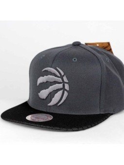 Toronto RAPTORS NBA Hologram Mesh Mitchell & Ness Cap | Top Hats