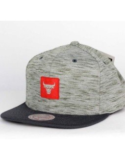 Gorra Chicago BULLS NBA Brushed Melange 353VZ Mitchell and Ness gris