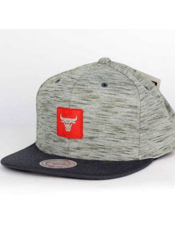 Gorra Chicago BULLS NBA Brushed Melange 353VZ Mitchell and Ness gris