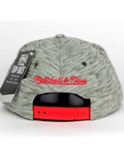 Gorra Chicago BULLS NBA Brushed Melange 353VZ Mitchell and Ness gris