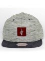 Gorra Cleveland CAVALIERS NBA Brushed Melange 353VZ Mitchell and Ness gris