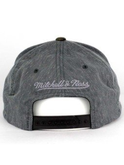 Toronto RAPTORS intl097 NBA Mitchell and Ness grey Cap