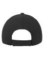 FLEXFIT 110C cap